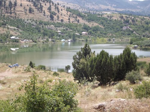 Toros dağları mı, kaya diplerin de mor ve sarı menekşeleri