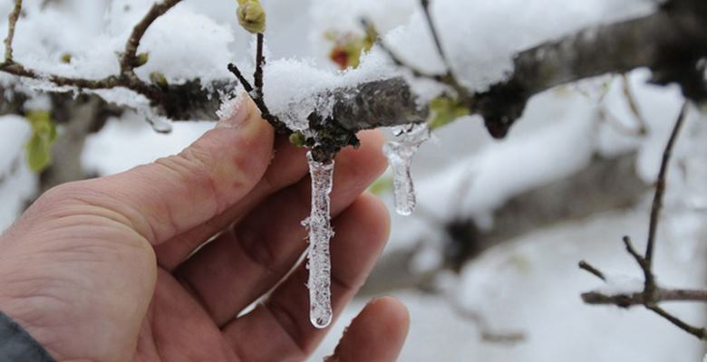 Isparta için zirai don ve hafif buzlanma uyarısı yapıldı. Meteoroloji