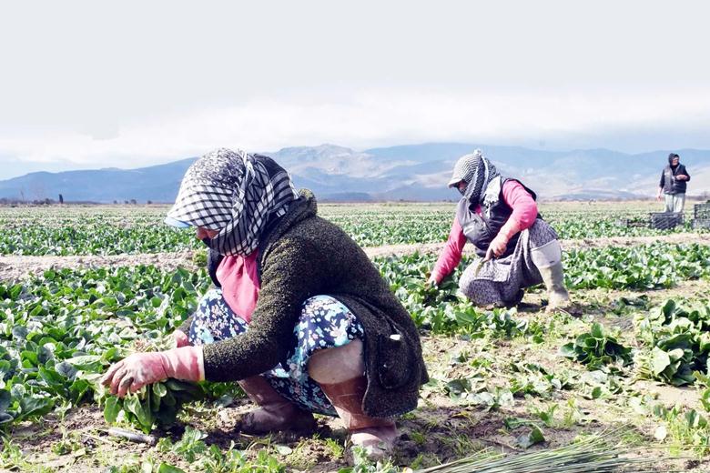 Isparta’nın Atabey ilçesine bağlı İslamköy’de bir tarım işçisinde koronavirüs tespit