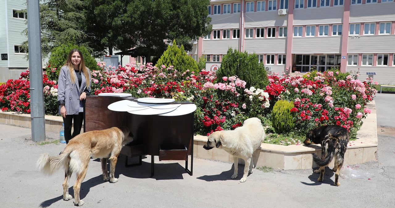 Süleyman Demirel Üniversitesi Hayvanları Koruma Topluluğu ile Gazi Üniversitesi Mimarlık