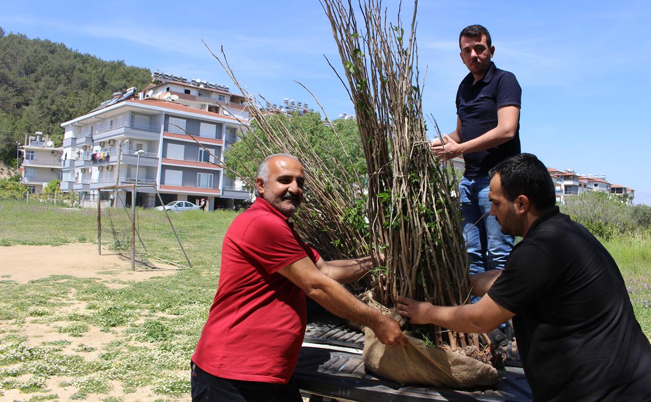 Isparta Ticaret ve Sanayi Odası (ITSO) Genel Sekreteri Erkan Ayan,