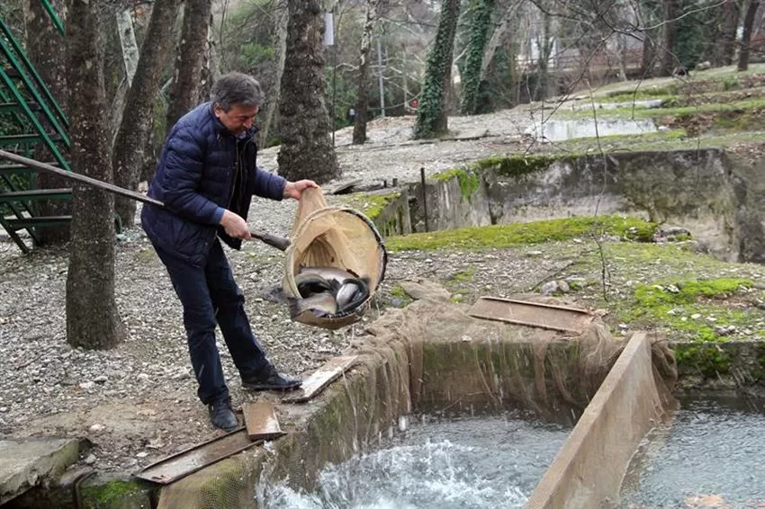 Isparta İç Su Ürünleri Yetiştiricileri Birliği Başkanı Mustafa Aydemir, Türkiye’de