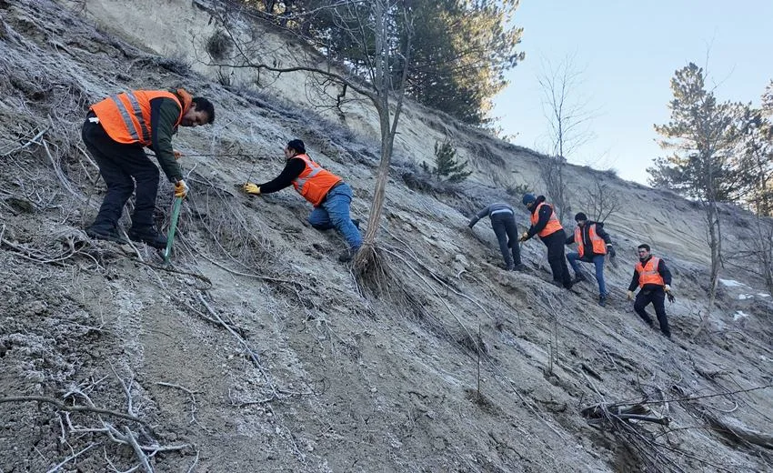 Isparta Belediyesi, şehrin farklı bölgelerinde fidan ve gül dikimi çalışmalarını